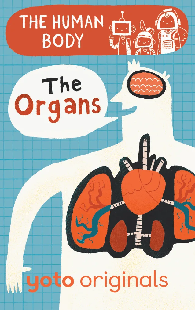 Människokroppens organ på Yoto: FAQ för nyfikna barn