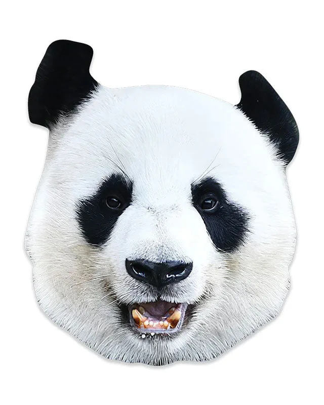 Eulen- oder Panda-Maske aus Pappe: Welche für Kinder?