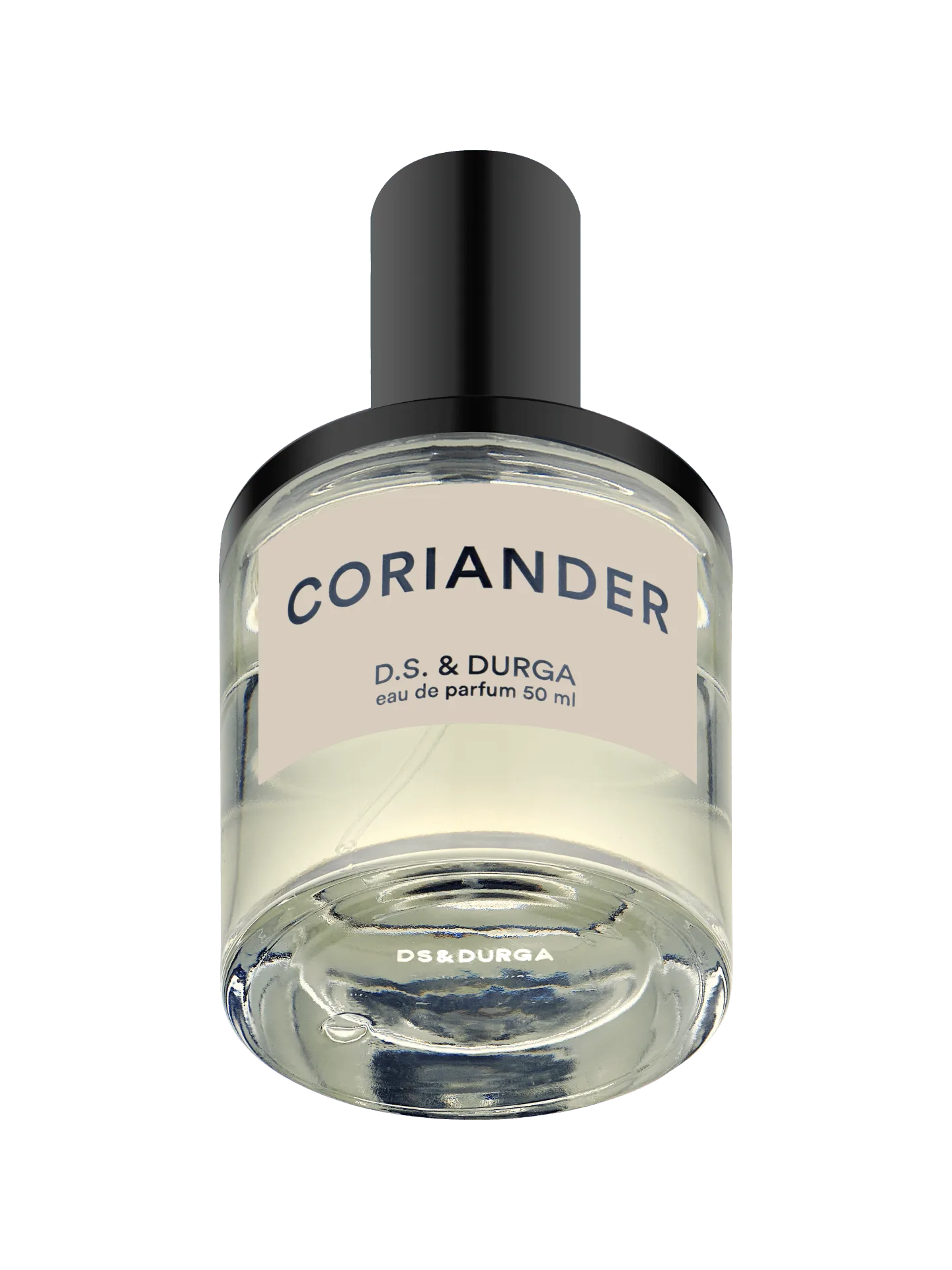 Coriandolo