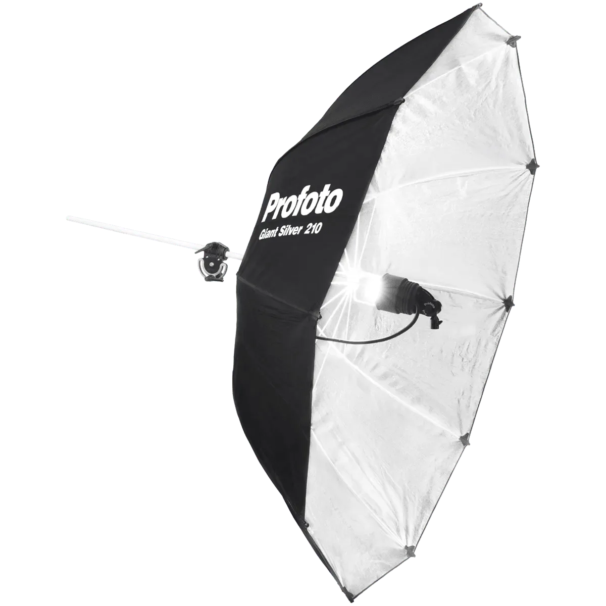 Profoto Giant 210 Argent vs Other Large Softboxes