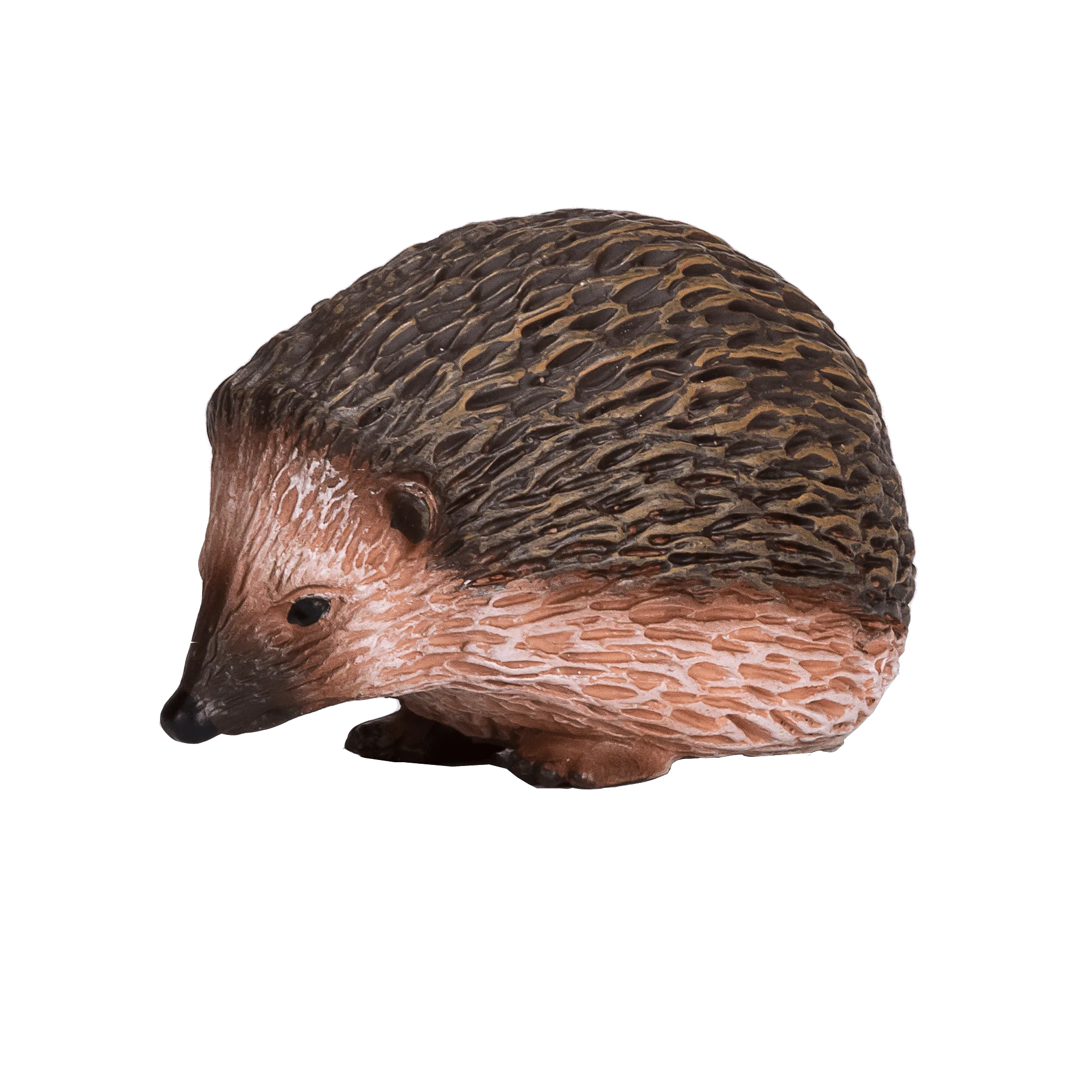 Hedgehog