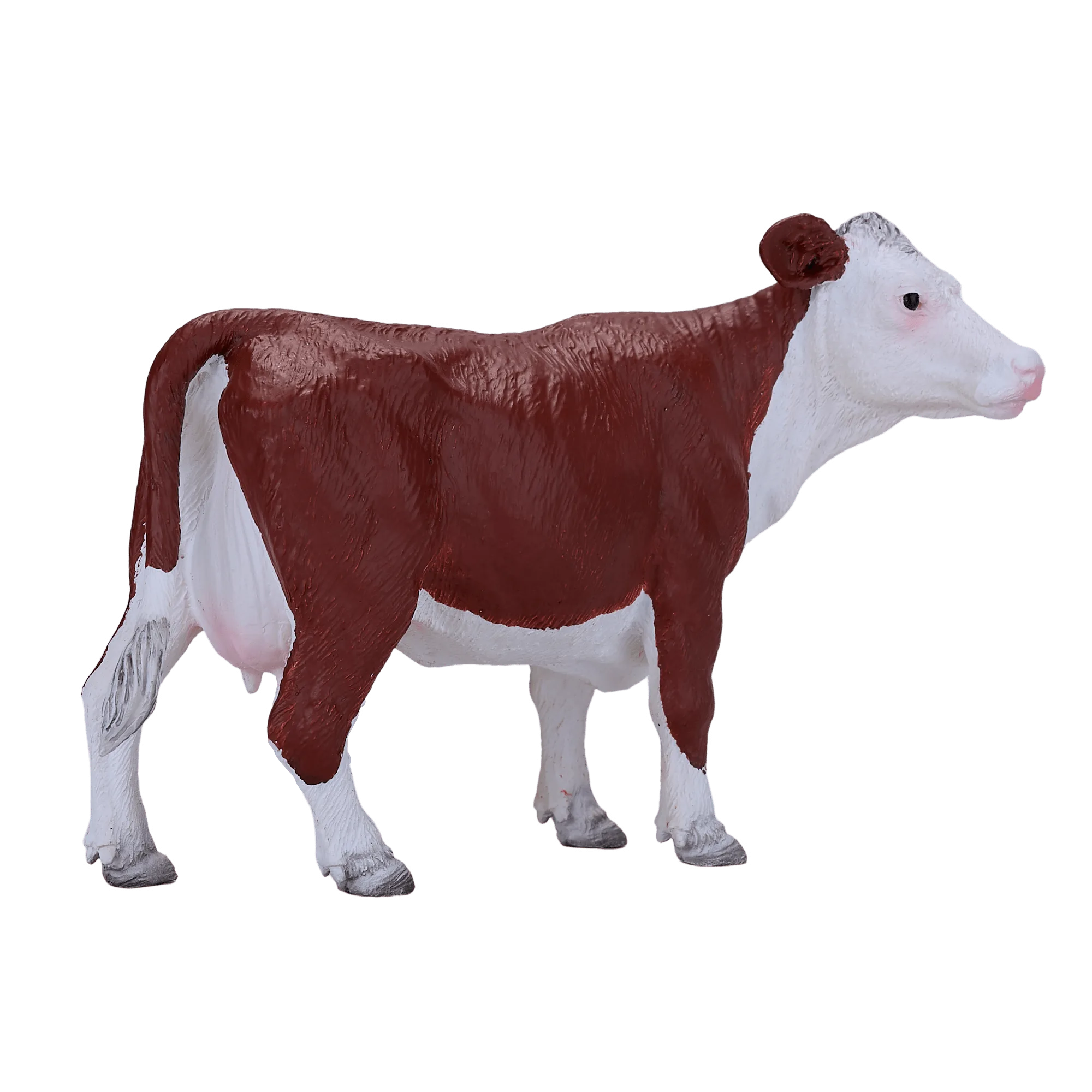 Hereford Cow