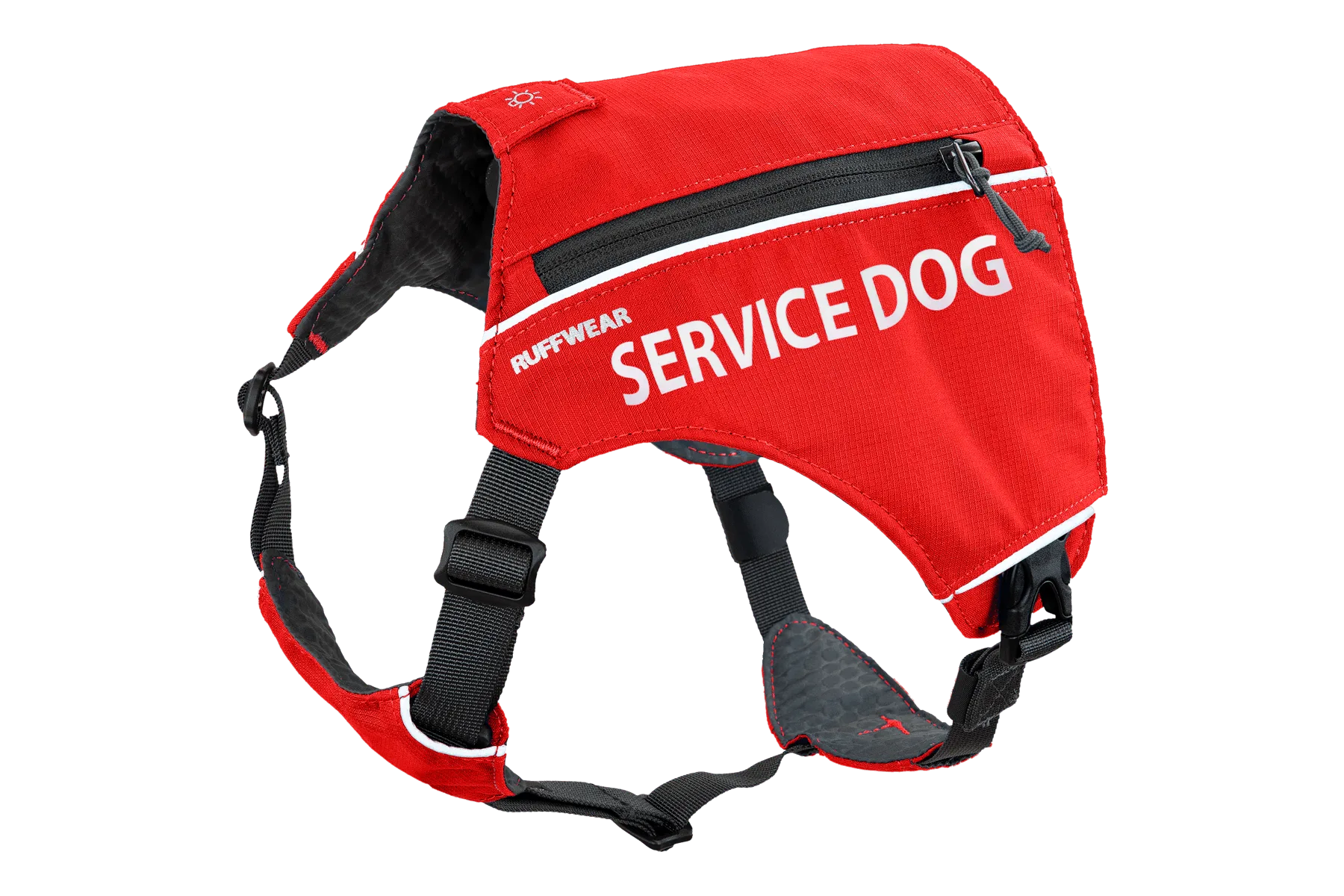 Dog Life Jacket Buying Guide for Lakes and Pools