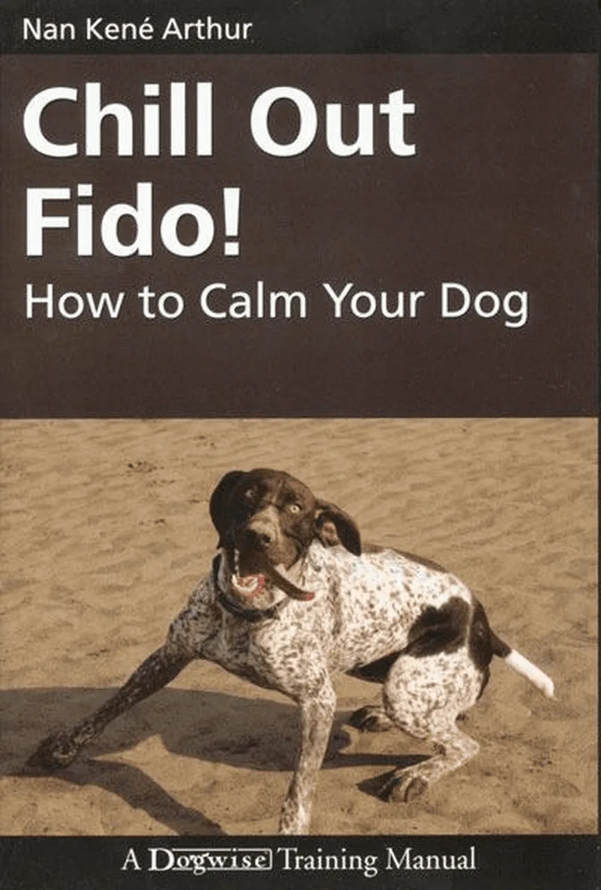 Calming Your Dog with Chill Out Fido!