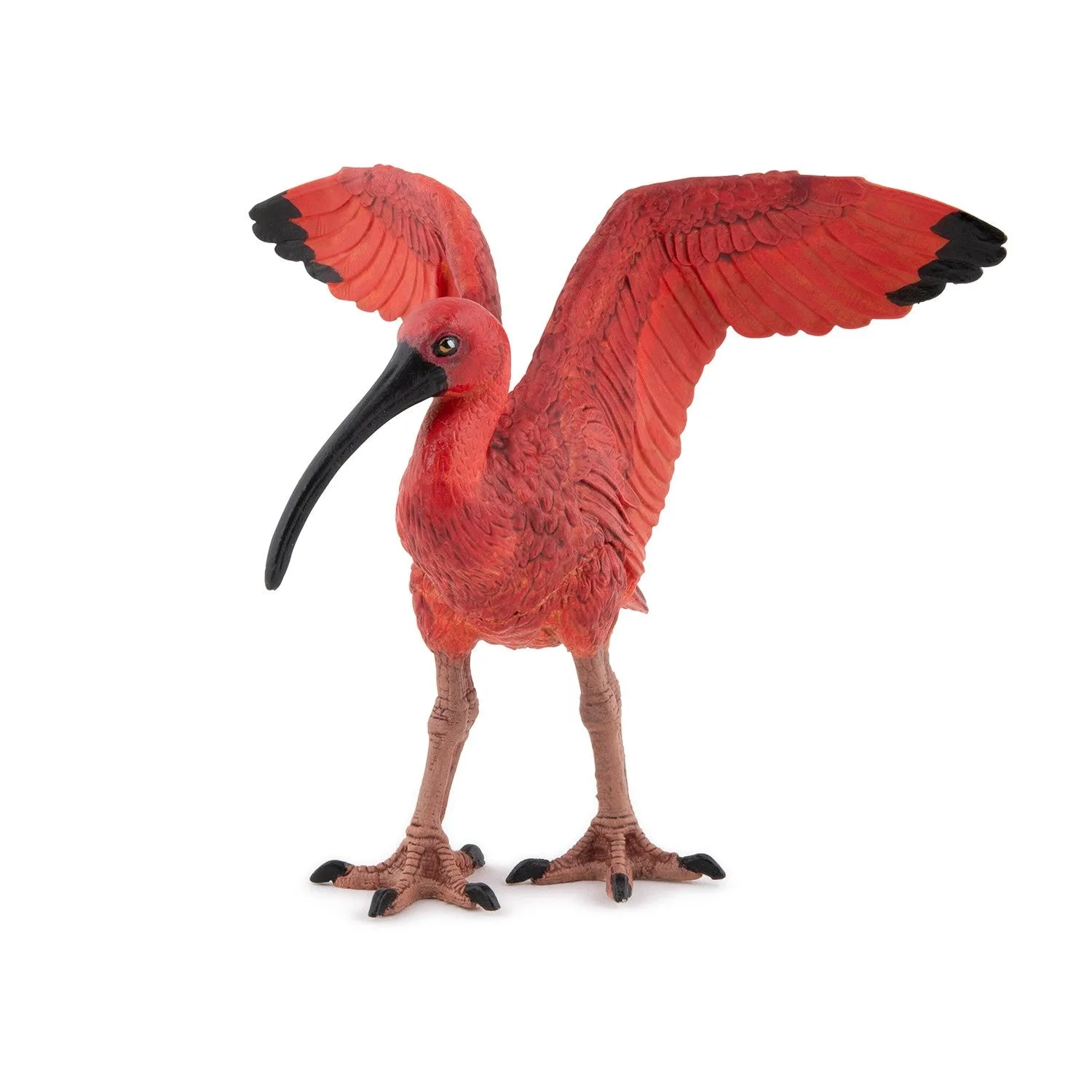Figura Íbis Vermelho
