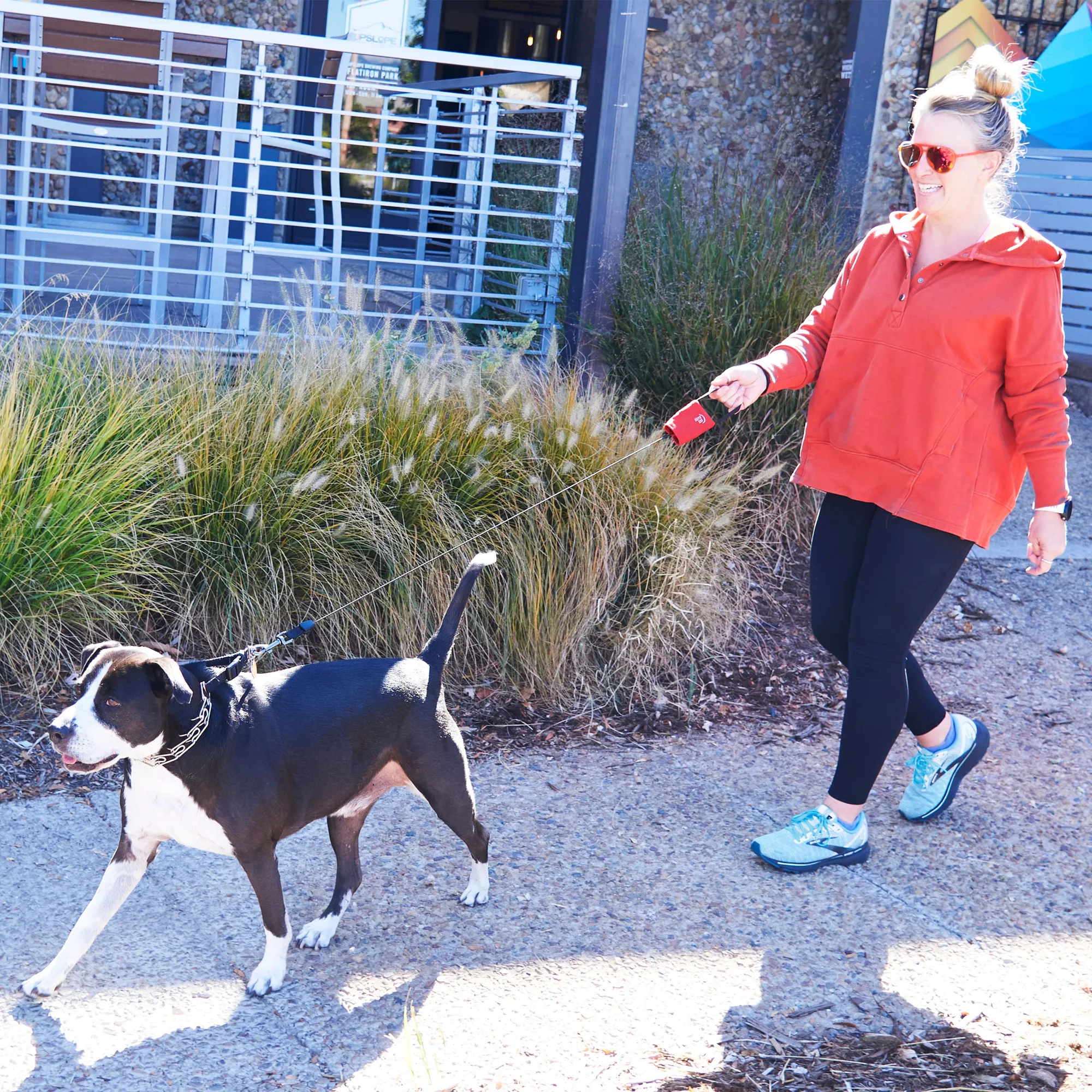 Retractable Leash for Off-Roading: How to Choose