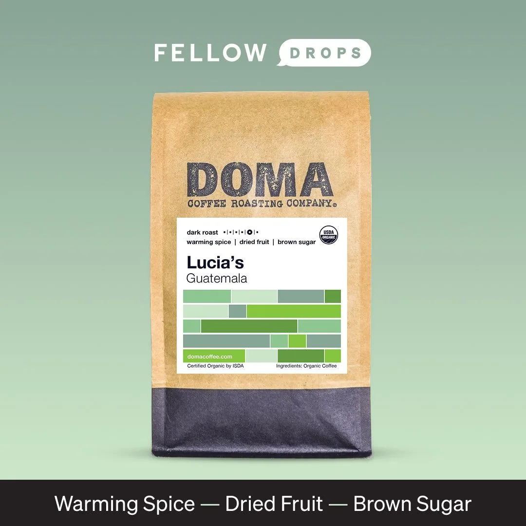 Best Coffee Grinders for Cold Brew: Coarse Grind Settings and Top Picks
