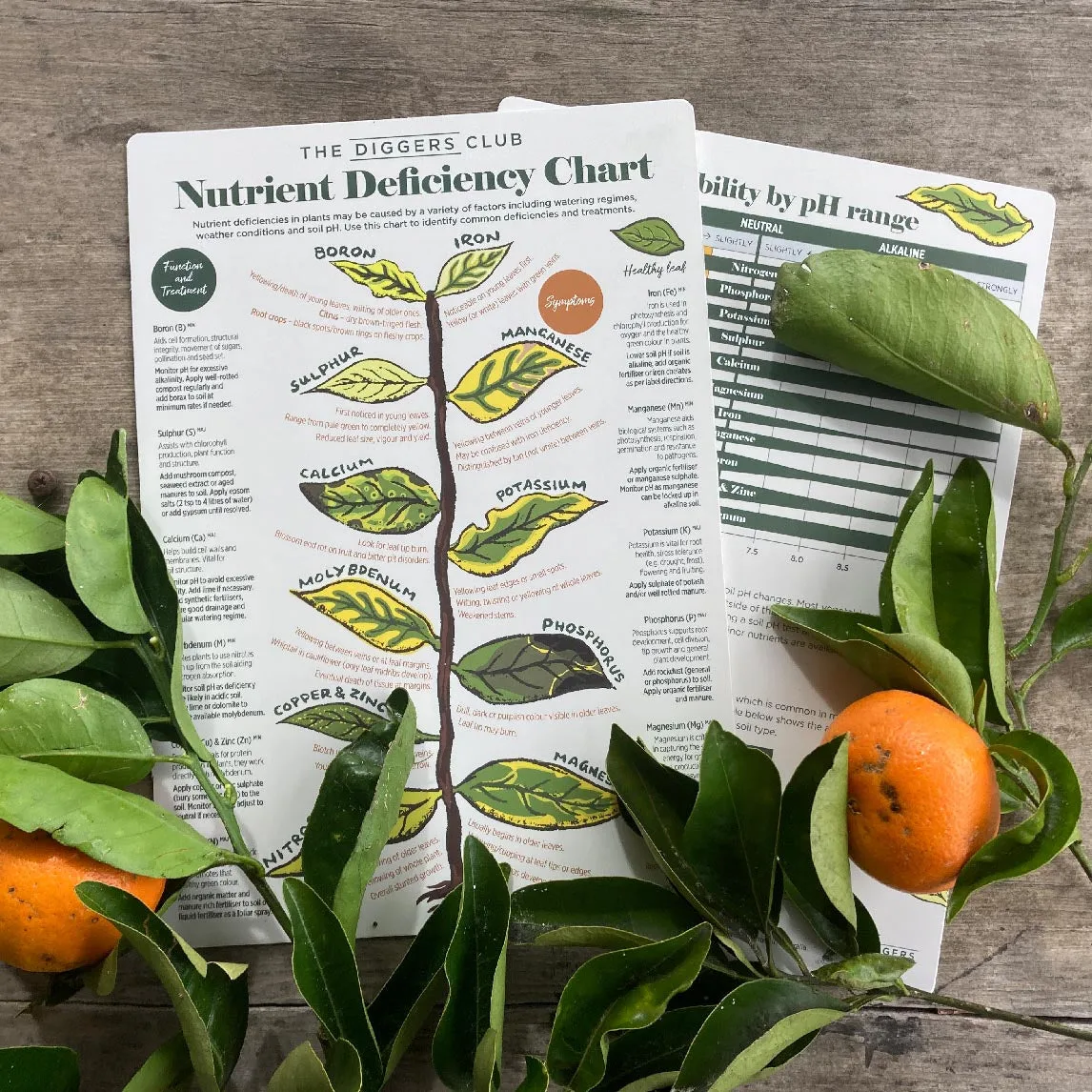 Using a Nutrient Deficiency Chart for Vegetables