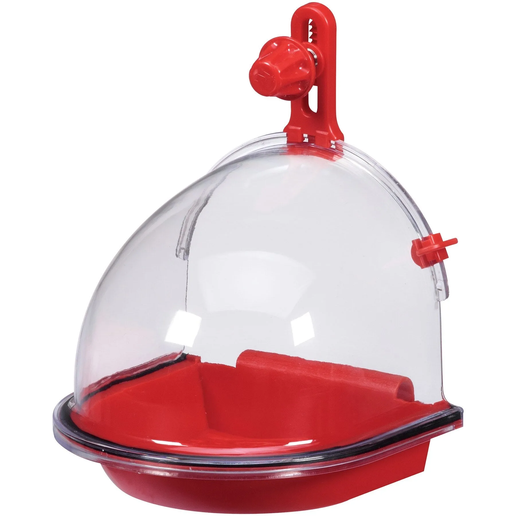 Comment choisir un bain pour oiseaux pour votre cage