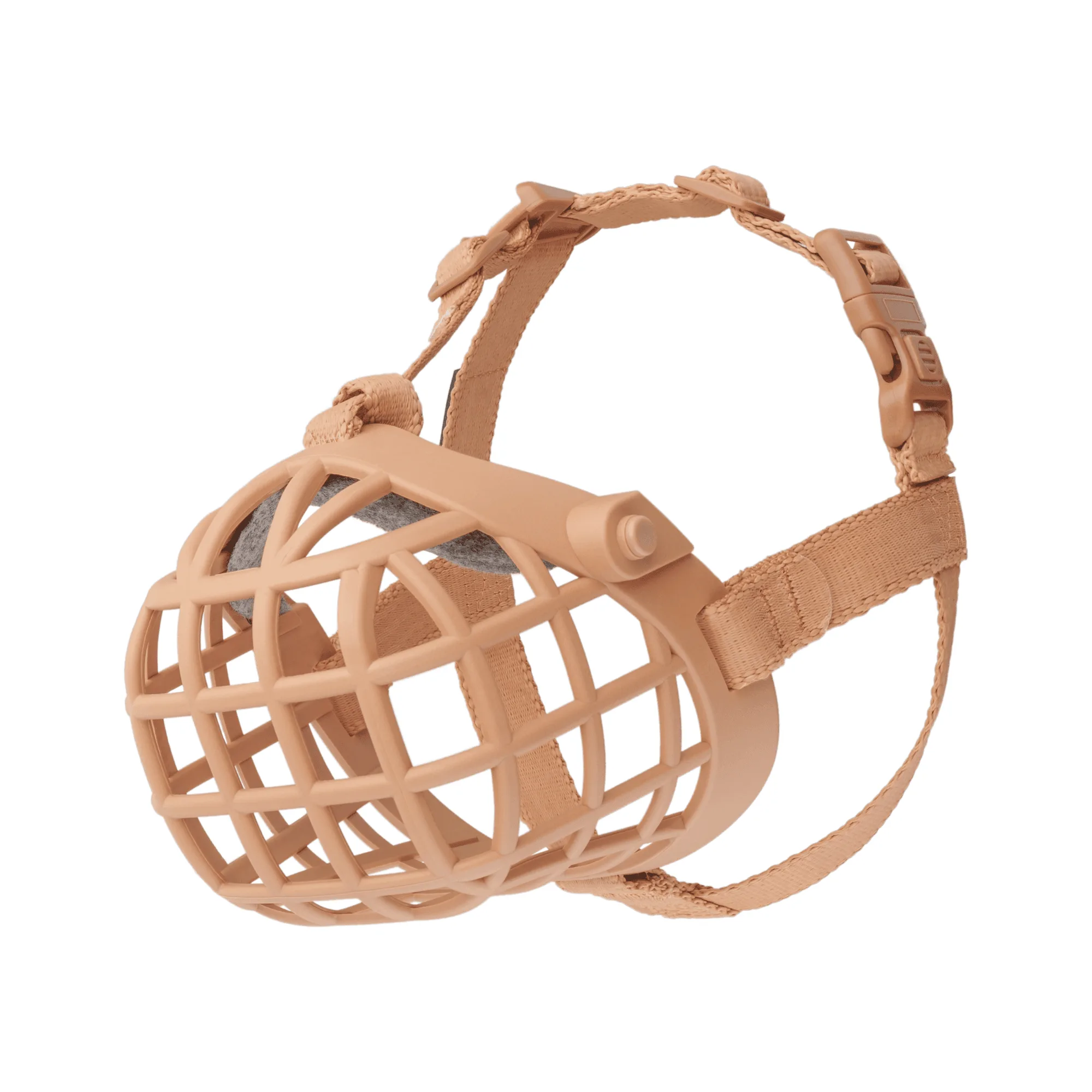 How to Fit a Dog Muzzle Safely and Comfortably
