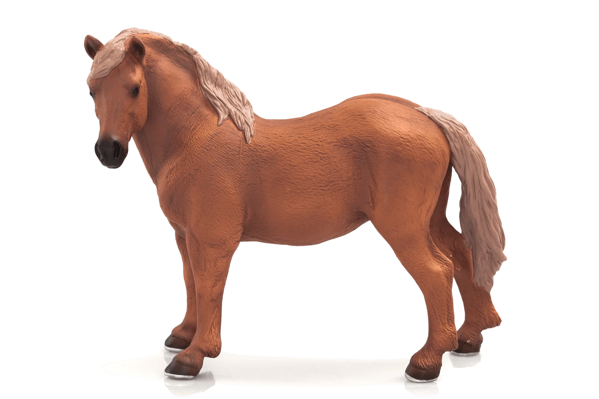 Jument Suffolk Punch