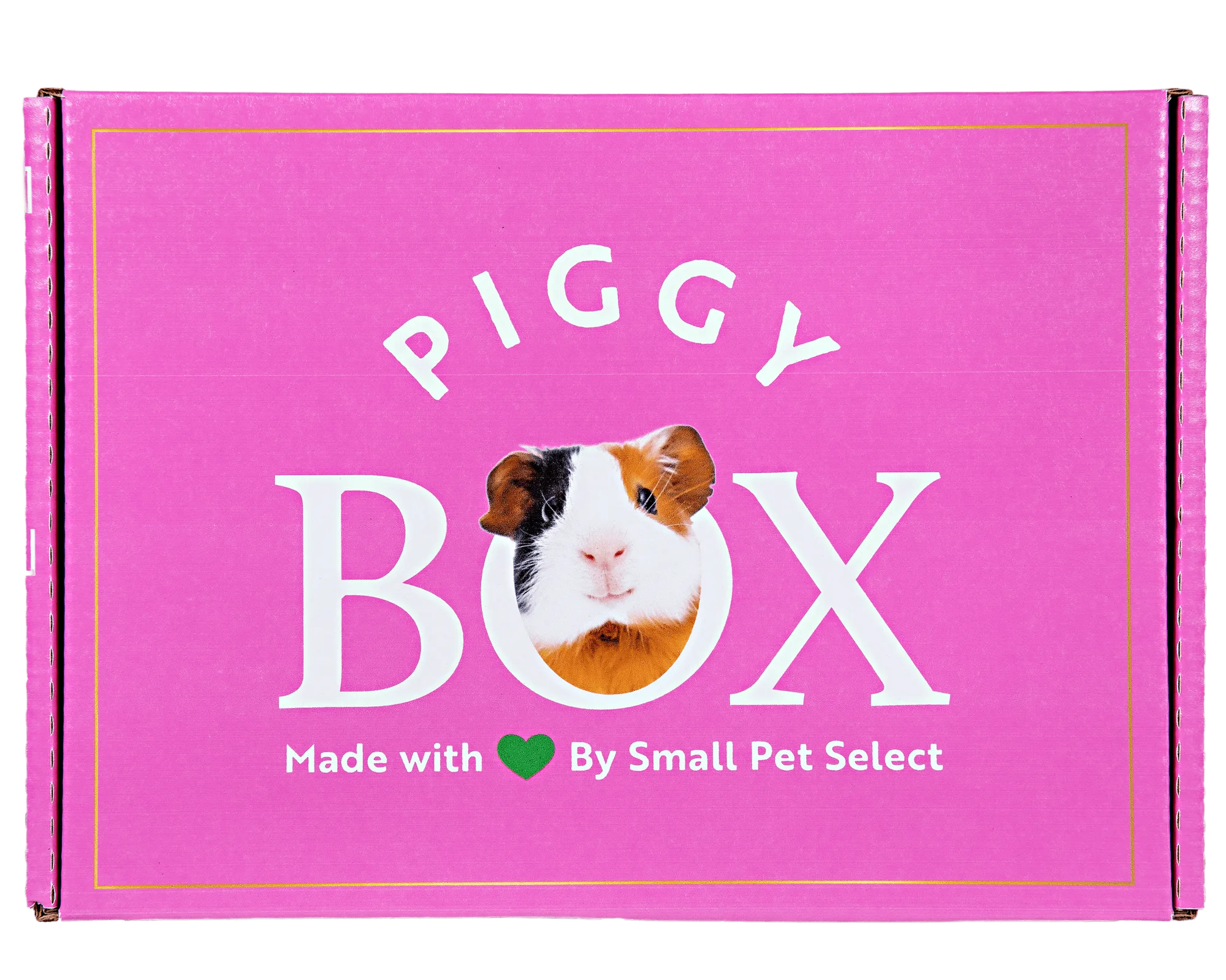 ماذا يوجد داخل حزمة Piggy Box للخنازير الغينية؟