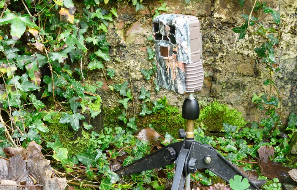C23 Mini Tripod