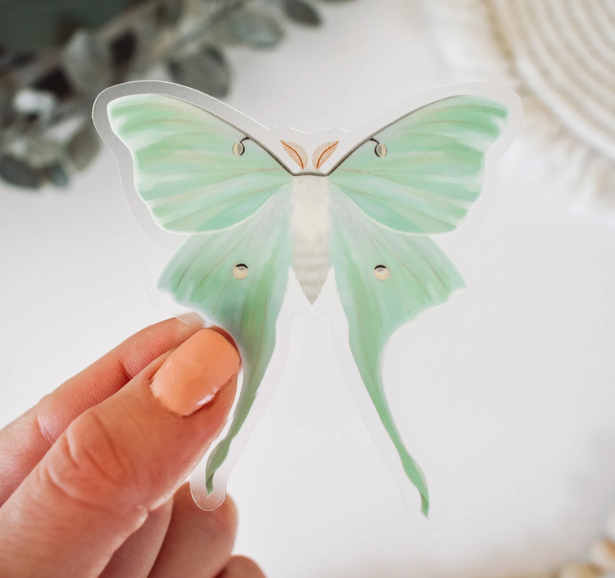 Luna Moth Clear Vinyl Sticker