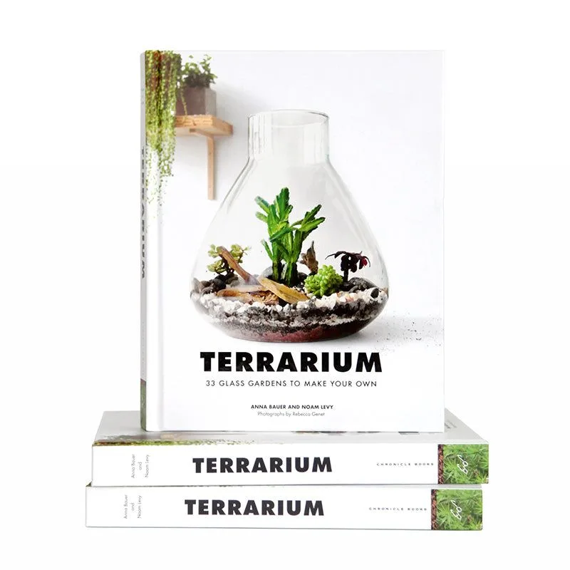 Terrarium 101: How to Build and Maintain a Self-Sustaining Mini Garden
