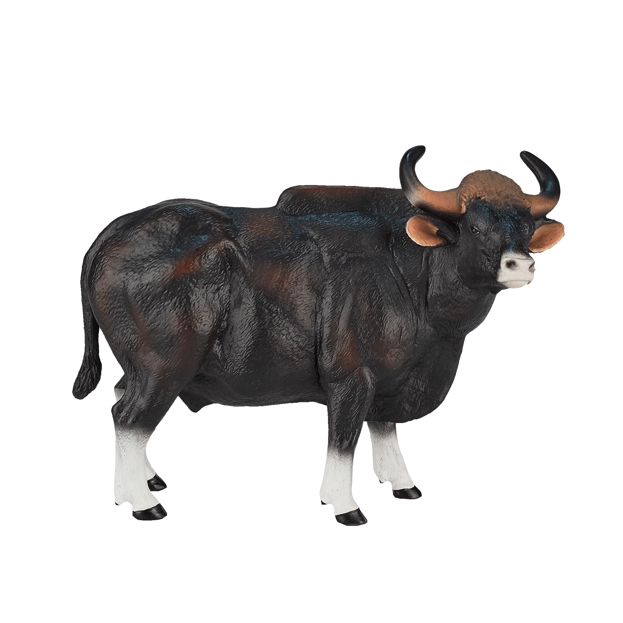 Gaur Bull