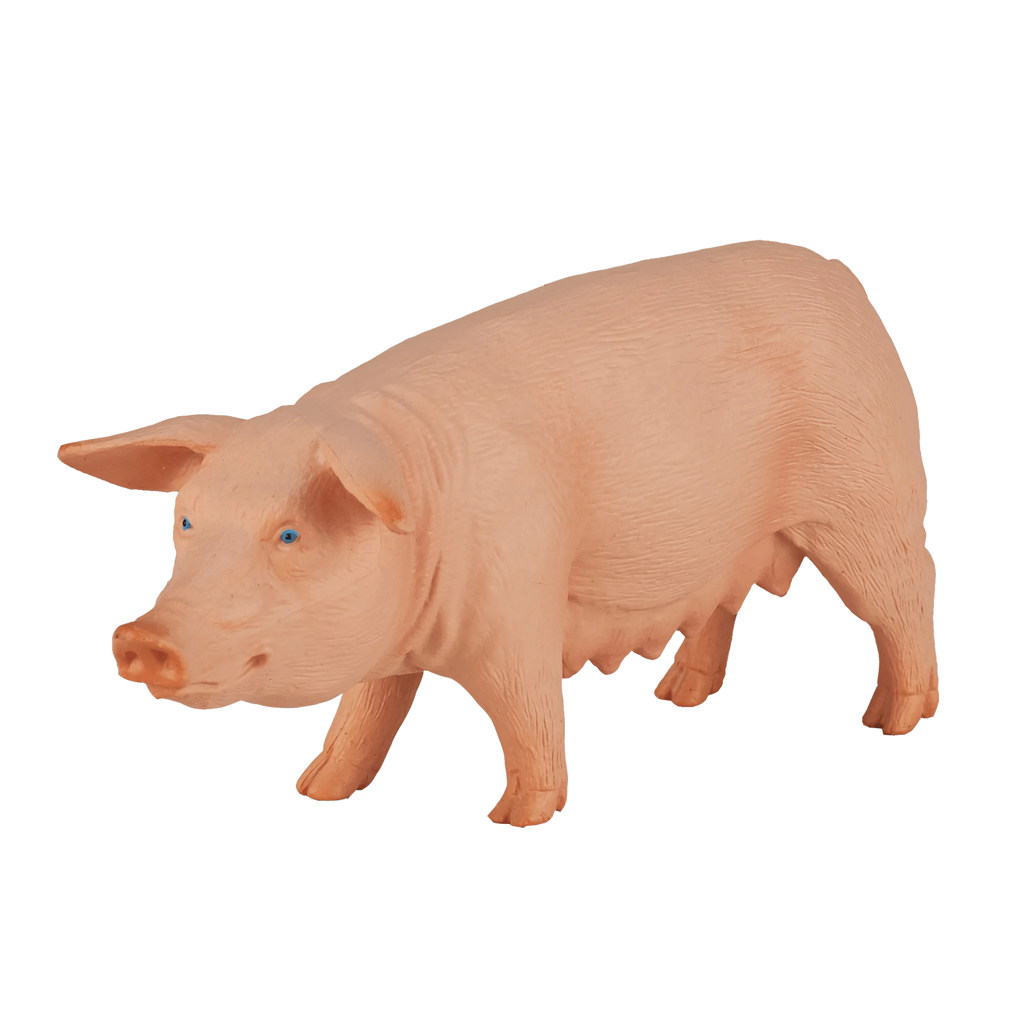 Pig (Sow)