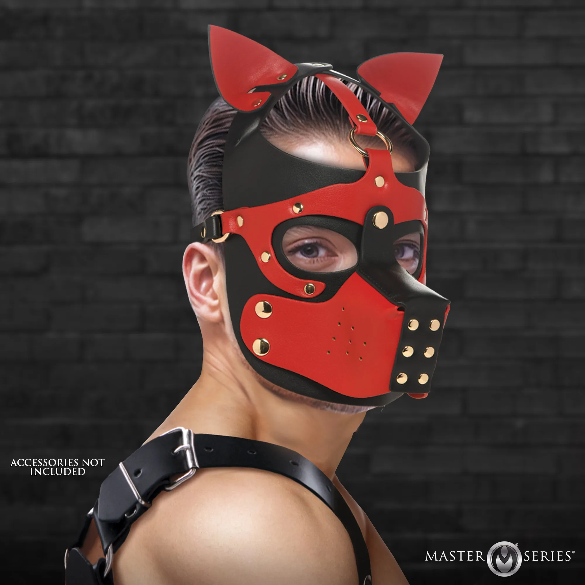 Hound Hood with Muzzle