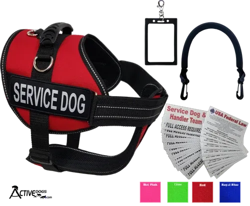 Choosing the Right Service Dog Vest Kit