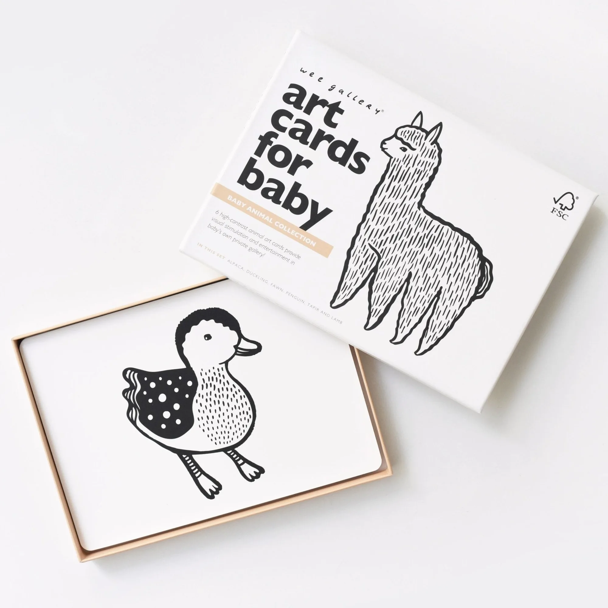 Art Cards for Baby - Baby Animals Collection
