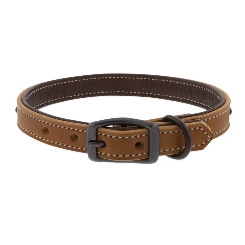Martingale Collar vs Slip Lead: Which Training Tool Is Right for Your Dog?
