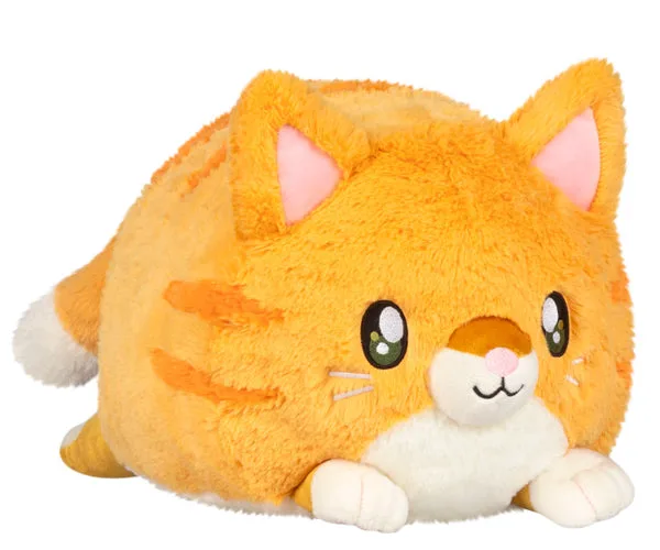 Squishable Kitty