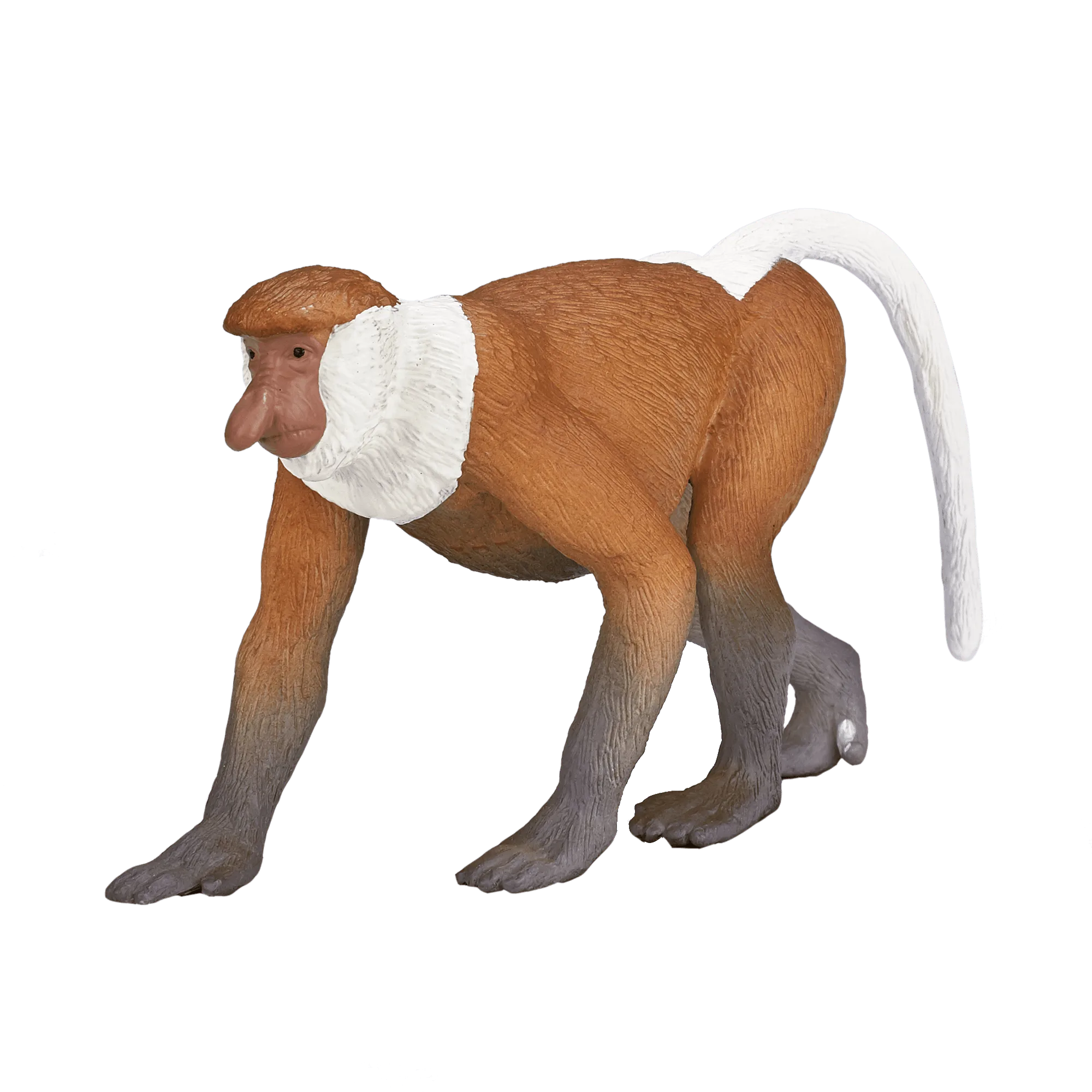 Proboscis Monkey Figure FAQ: Size, Paint, and Display
