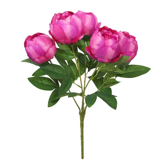 Cespuglio Deluxe Rosa Scuro 20" di Ashland®