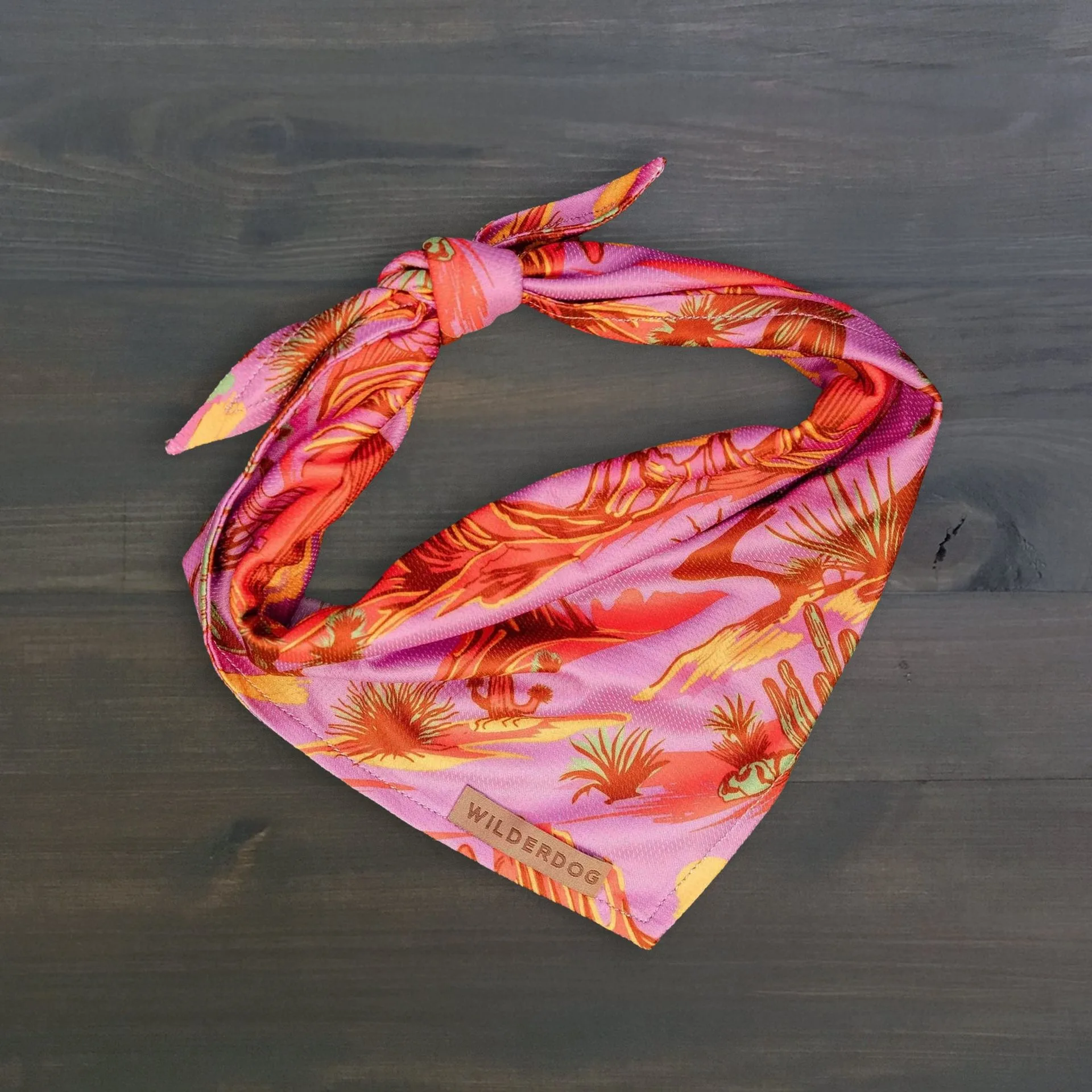 Laramie Bandana Review: A Versatile Dog Accessory for Every Adventure