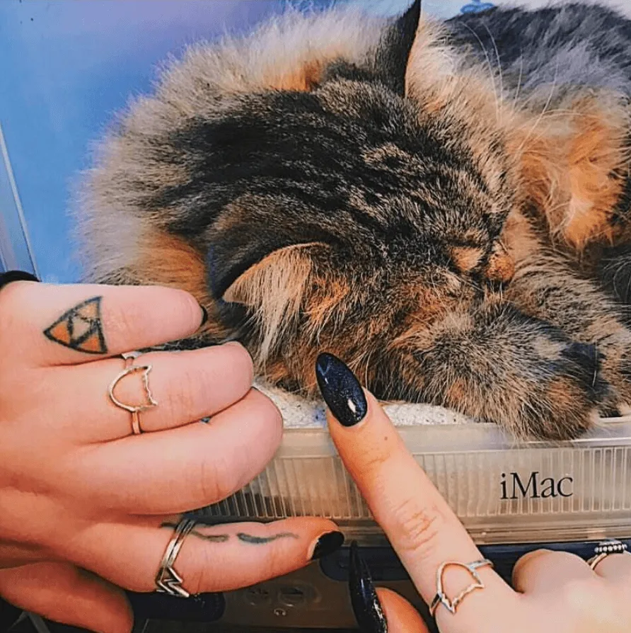 Bad Cat Ring Charity: Jewellery for Brain Tumour Research