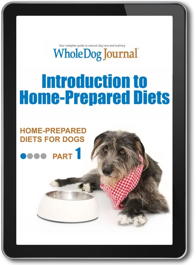 Home-Prepared Diets for Dogs, Part One: Introduction to Home-Prepared Diets