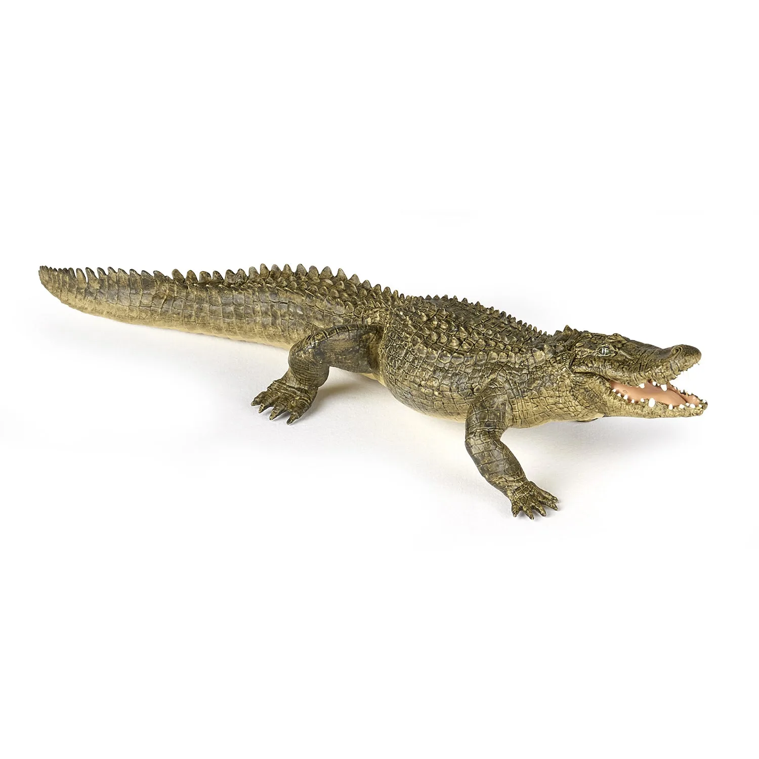 Figura Jacaré