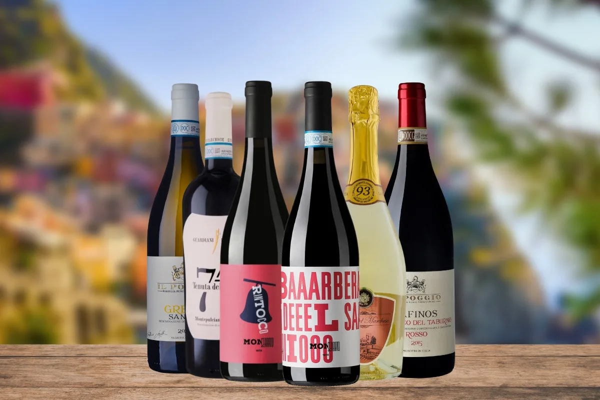 Wine Club vs Wine Subscription: Key Differences