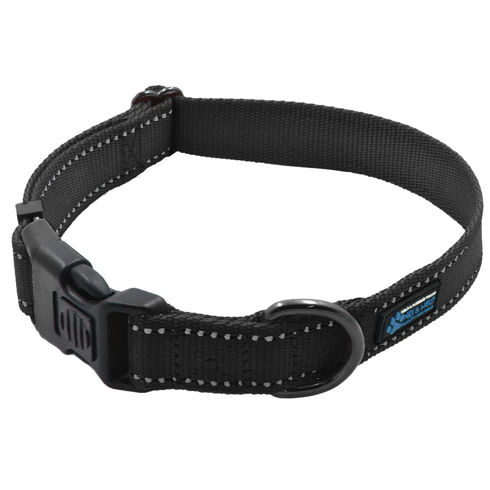 How to Clean and Maintain Your Dog's Chain Martingale Collar