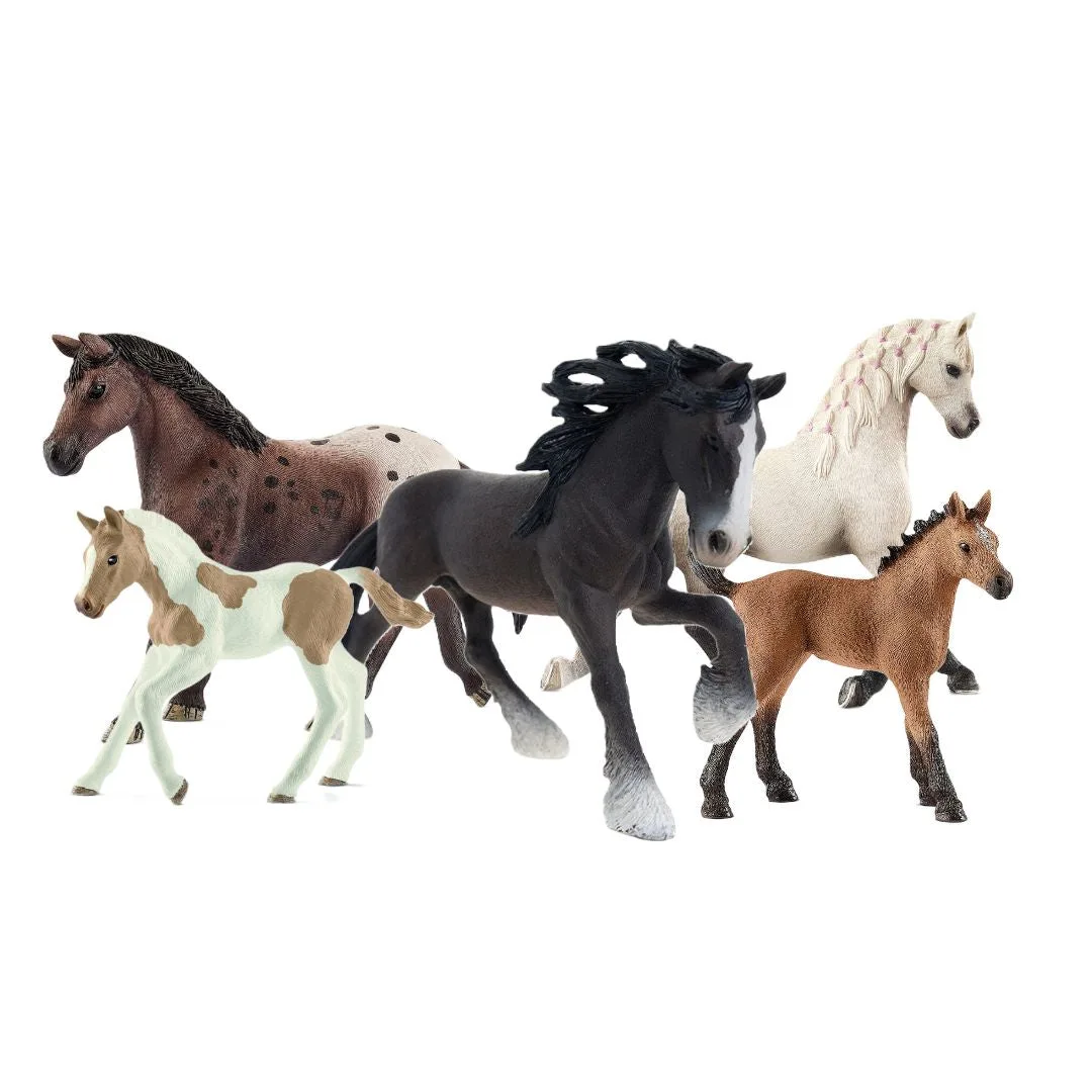 Schleich Horse Club Starter Set vs Individual Horses: Which to Buy?