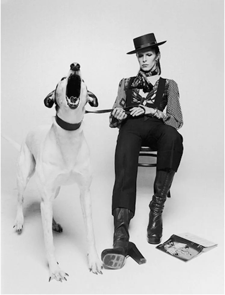 David Bowie, Diamond Dogs view 2, 1974