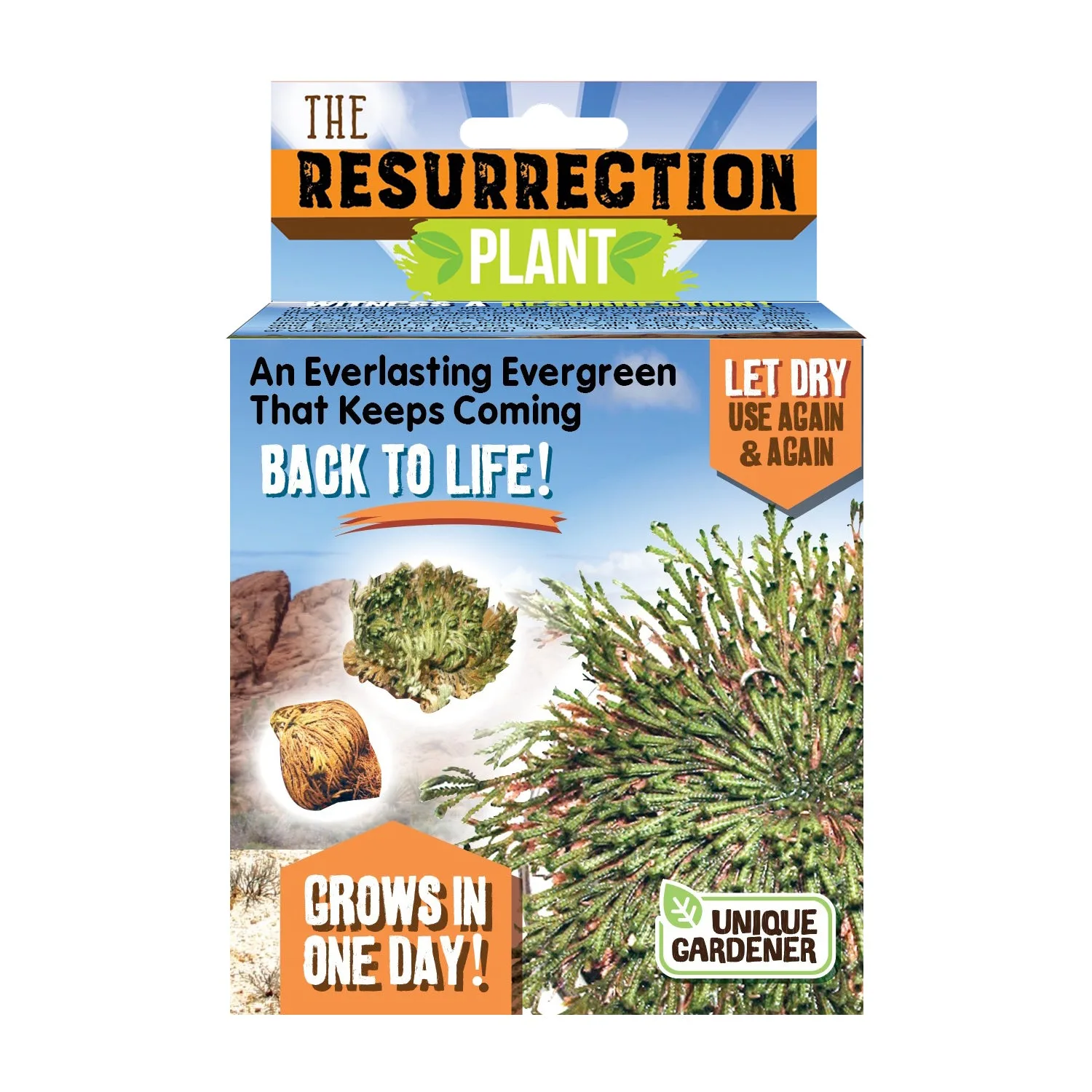 The Resurrection Plant