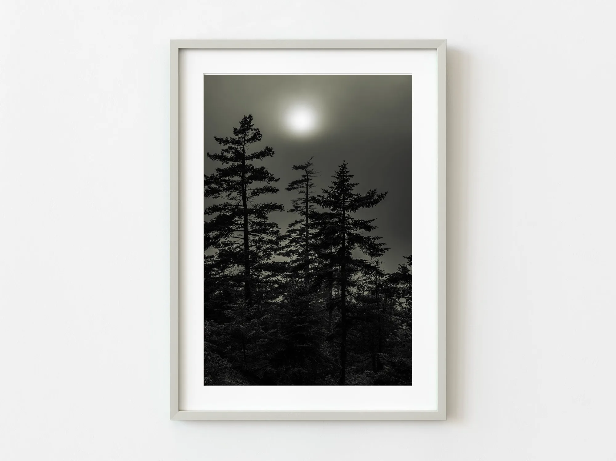 Can a Foggy Forest Print Make a Small Room Feel Larger?