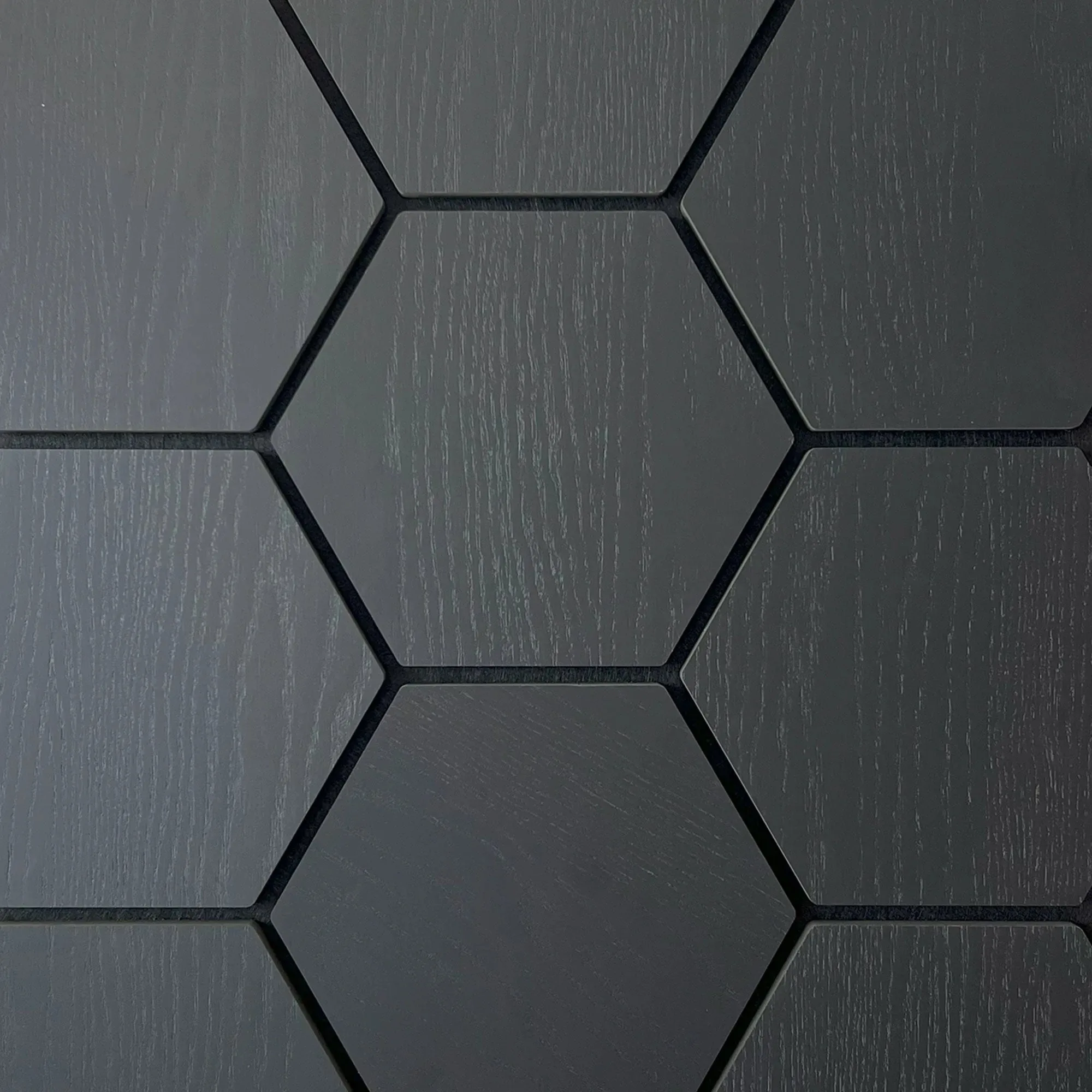 Sample - Hexagon Panel Black