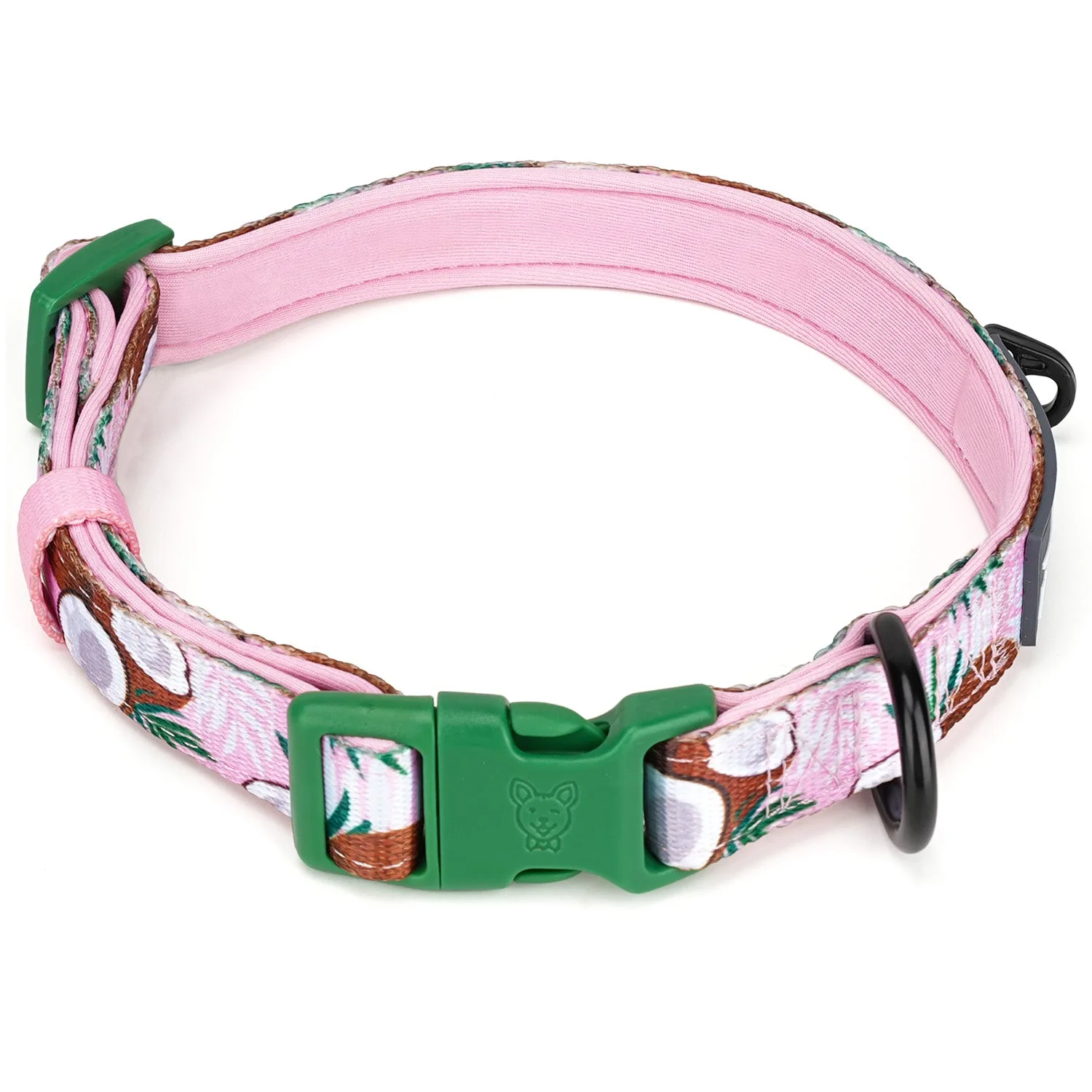 Coconut Dog Collar