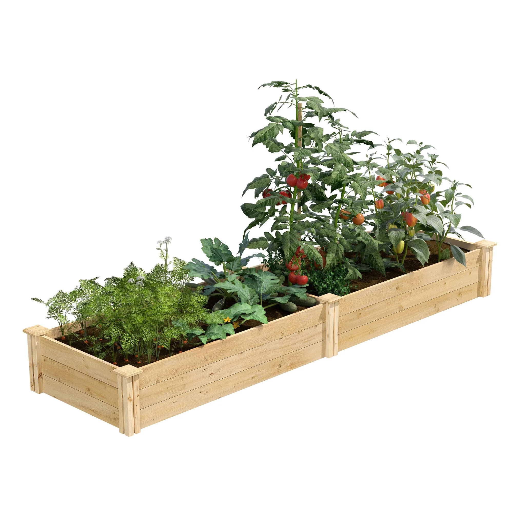 Cama de jardín elevada de cedro premium 2 x 8 pies x 10,5 pulgadas (3/4 pulgada de grosor) RC24966T