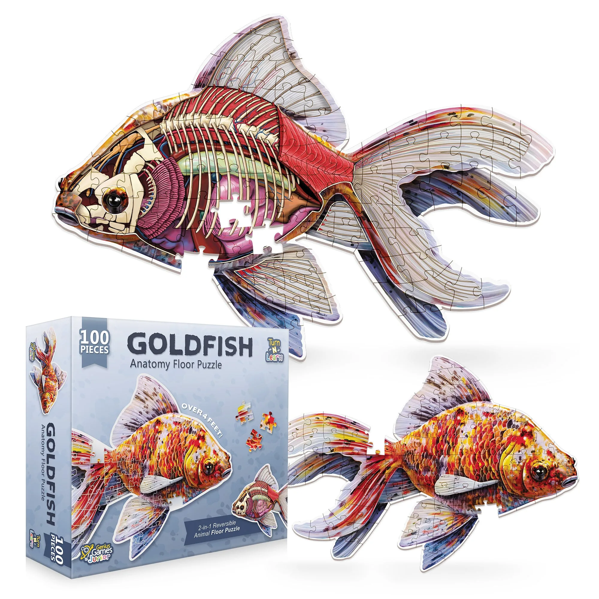 Fantail Calico Goldfish Jigsaw Puzzle - 4FT Double Sided Floor Puzzle