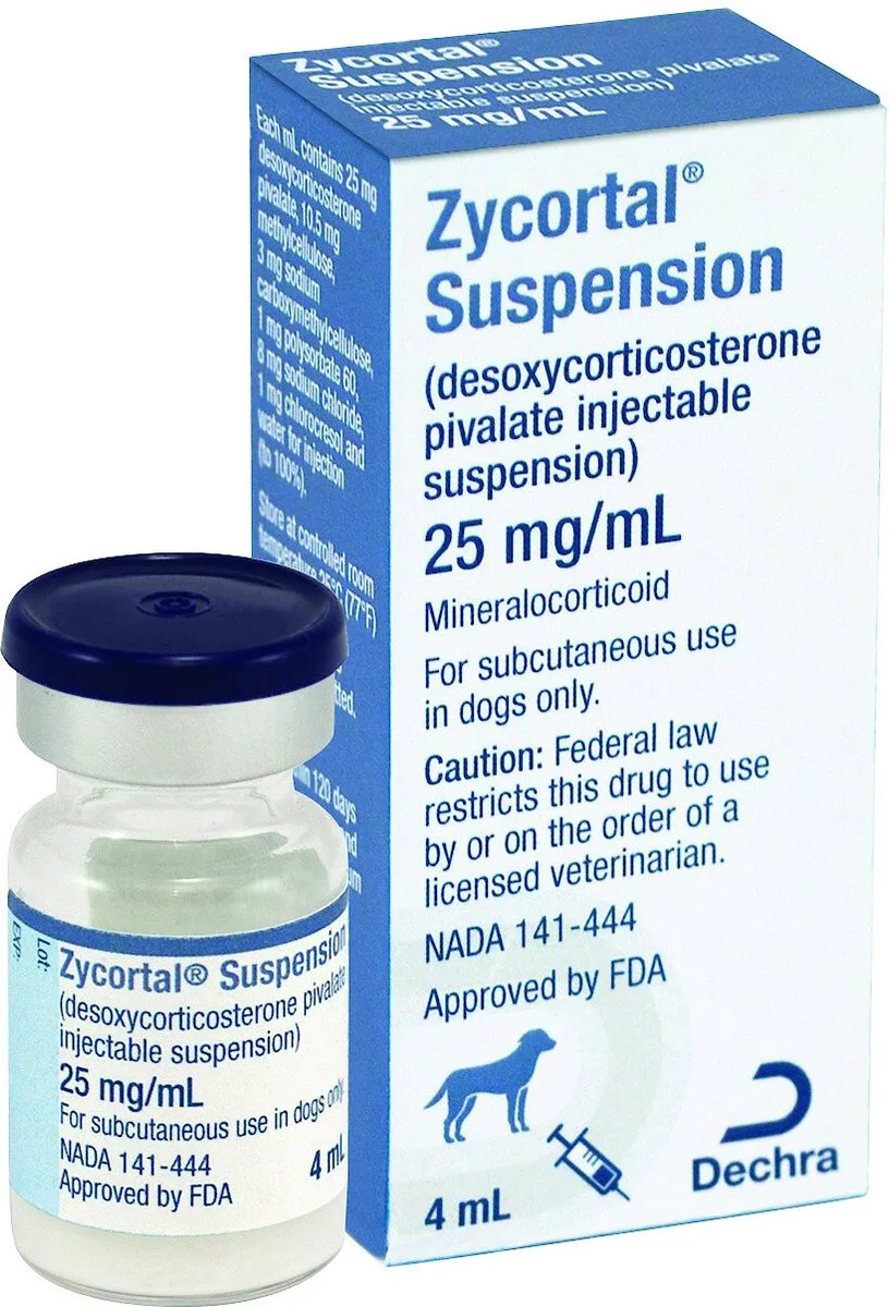 Joint Health in Dogs: Supplements vs. Other Treatments
