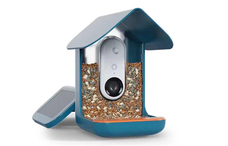 Birdbuddy Pro vs Birdbuddy Pro Solar: Choosing the Best Smart Solar Feeder for Your Backyard