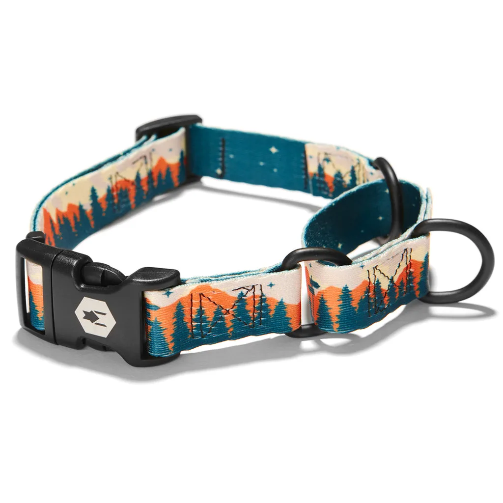 How to Use a Martingale Collar for Loose Leash Walking: Step-by-Step Training