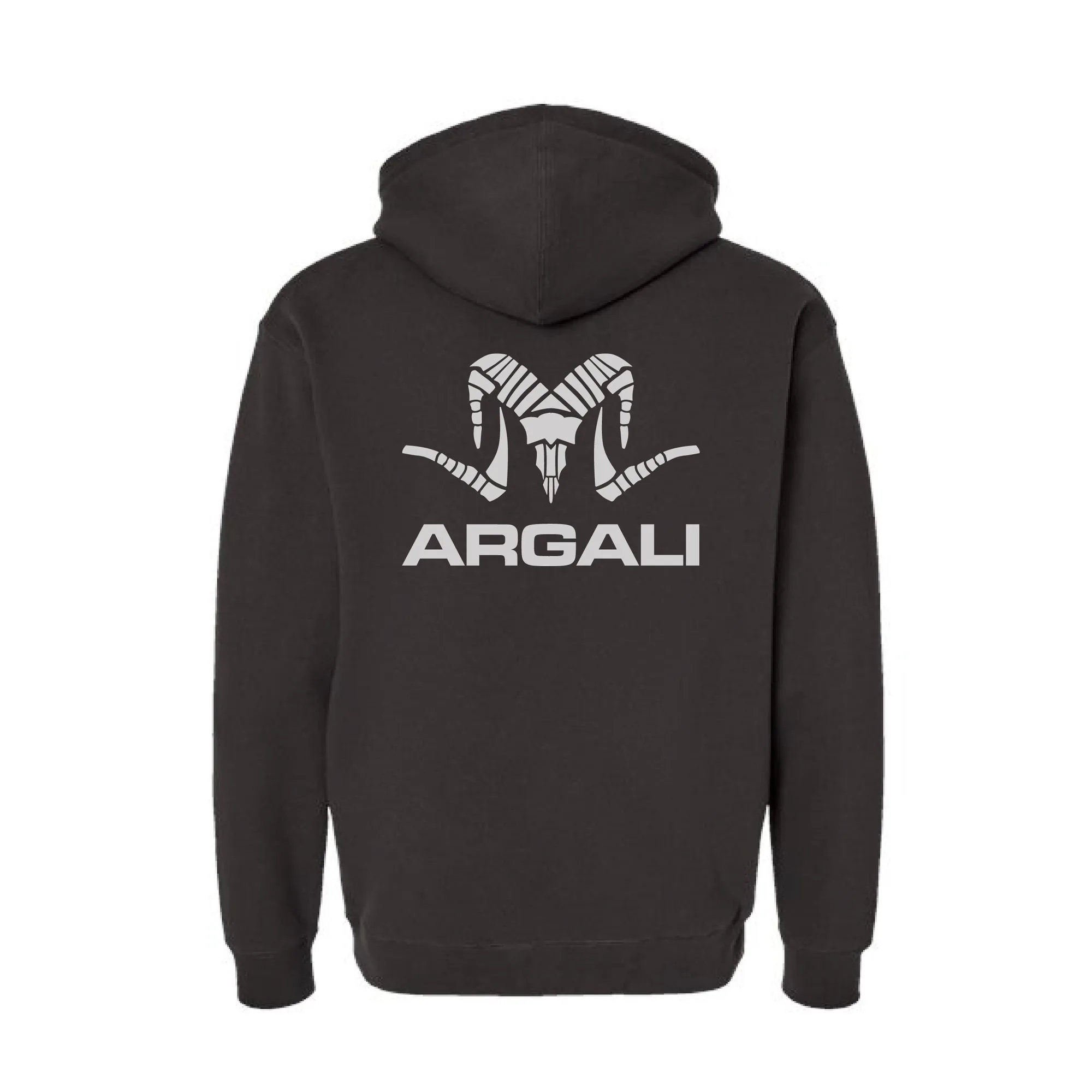 Icon Logo Hoodie 2.0