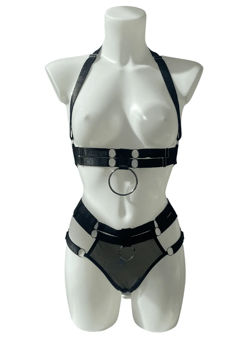 Assent Harness