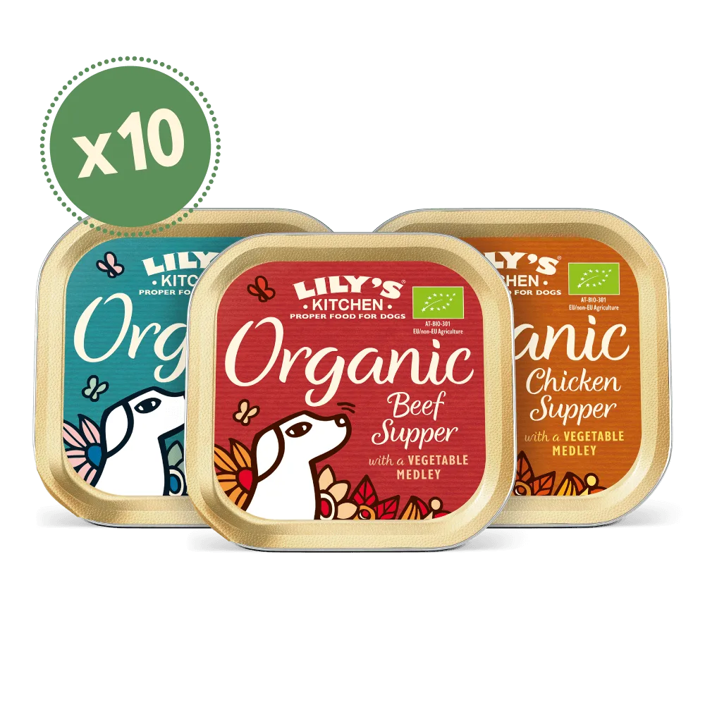 PETLIBRO Senior Turkey with White Fish Bites vs Lean Machine: Which Is Best for Your Older Dog?