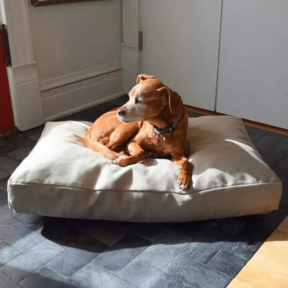 Hemp vs Latex Dog Bed: Which Material to Choose