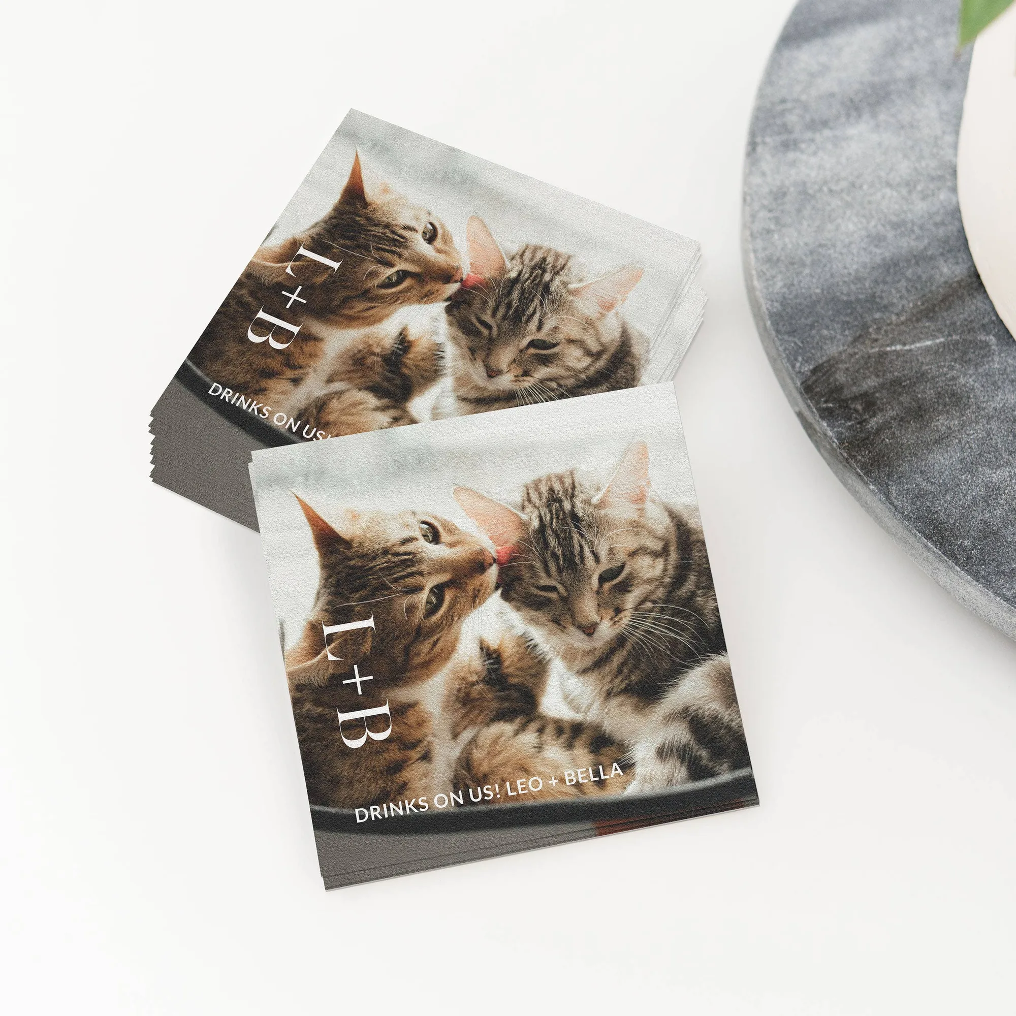 客製寵物照片印花紙巾 - Pet Monogram